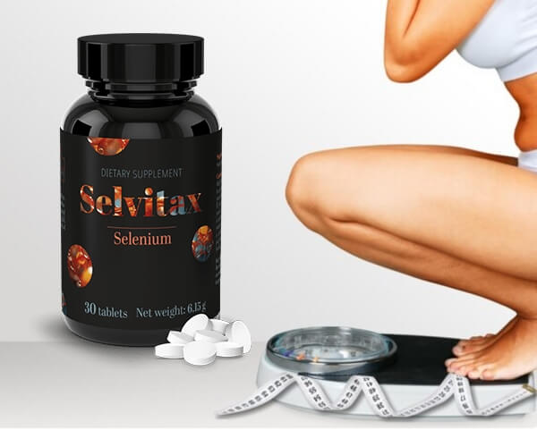 Sestava