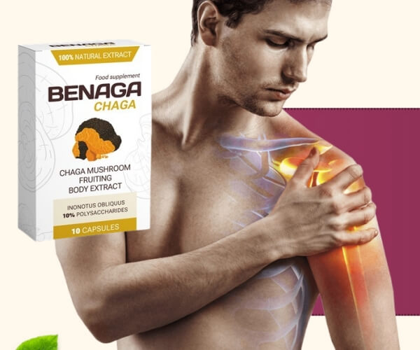 Benaga Chaga za bolečine v sklepih