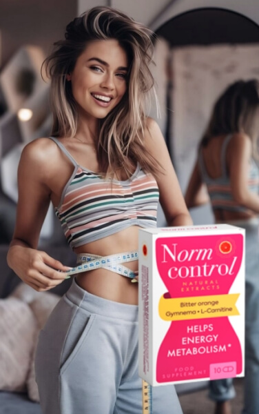 Navodila za uporabo Normcontrol